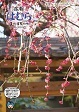 広報はむら3月15日号No.1041表紙