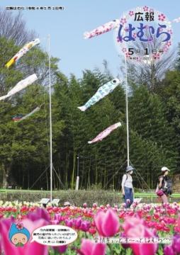 広報はむら5月1日号No.1068表紙 チューリップ畑で元気よく泳ぐ市内園児たちが作ったこいのぼり