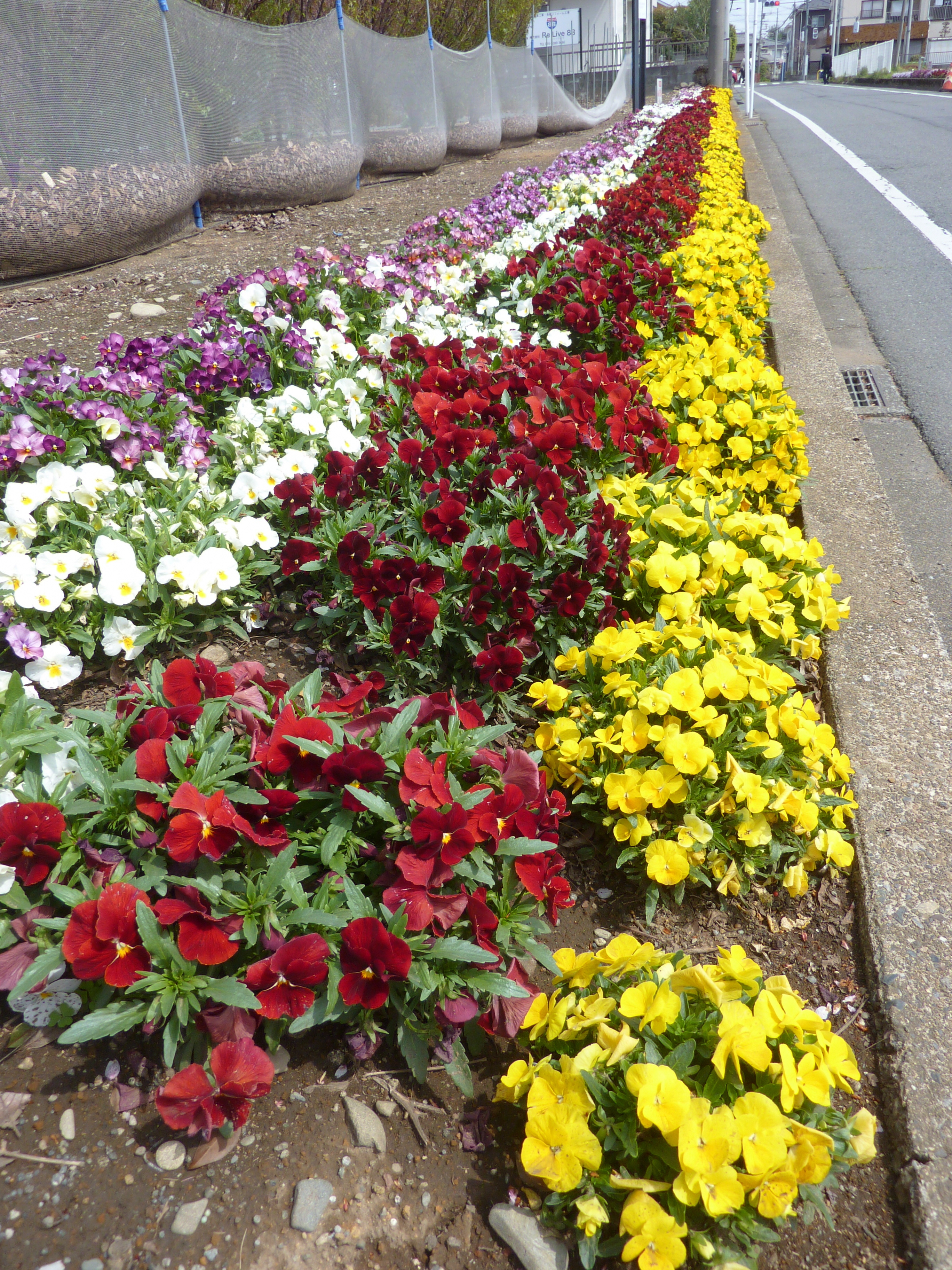 間坂第一町内会