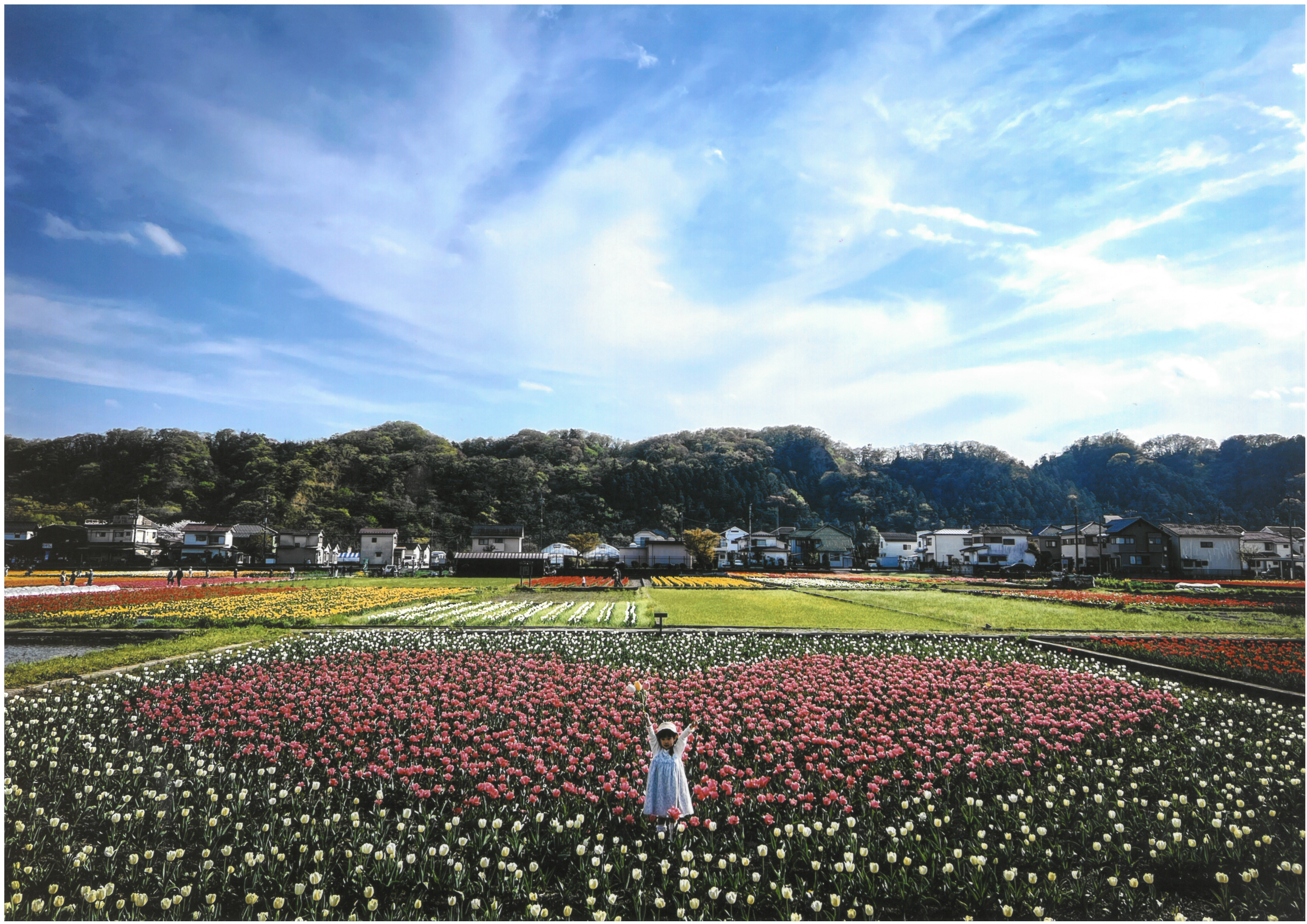 内野　祥子さん　ハート満開