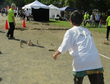 モルックの写真