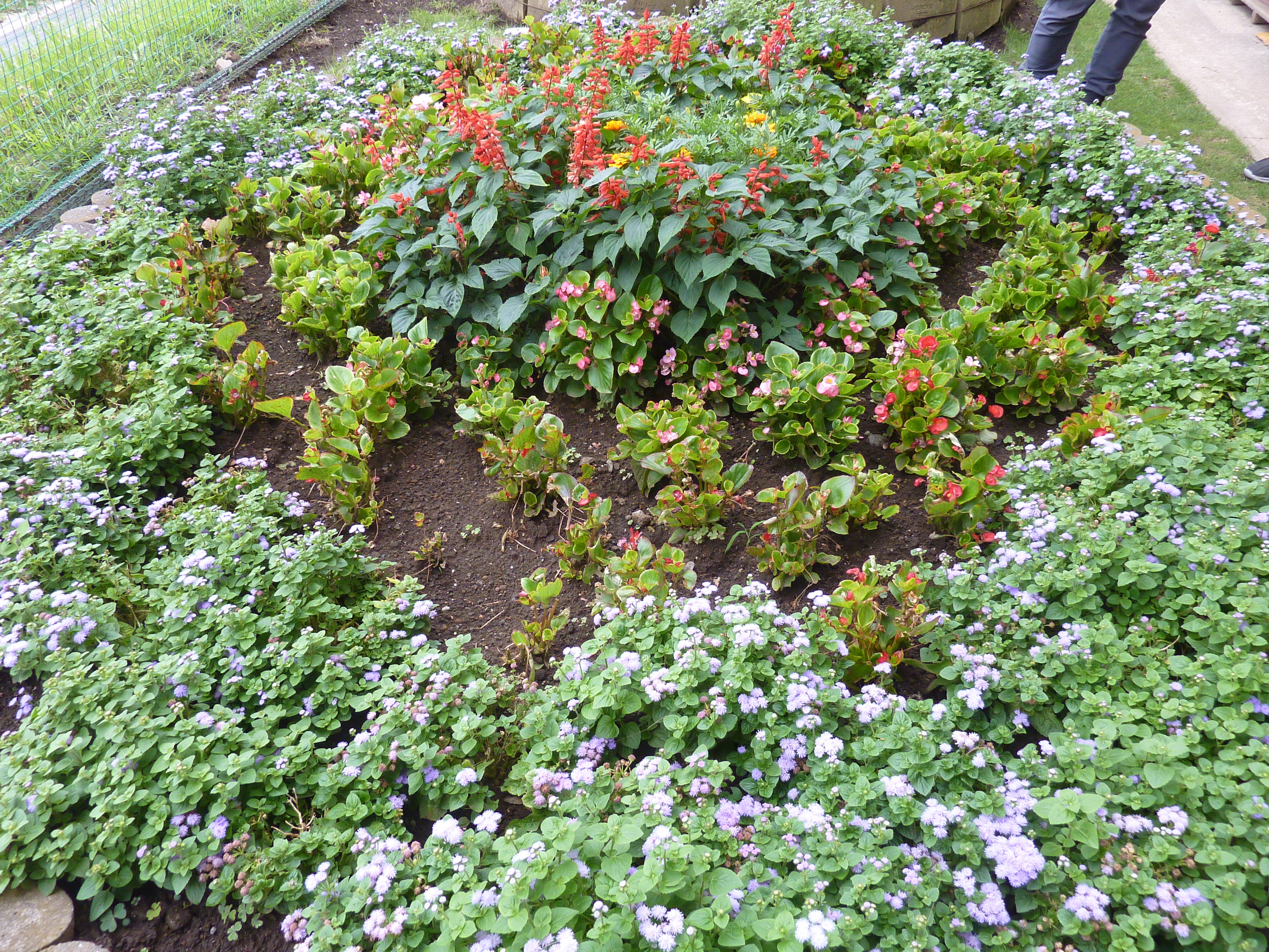 羽村第二中学校