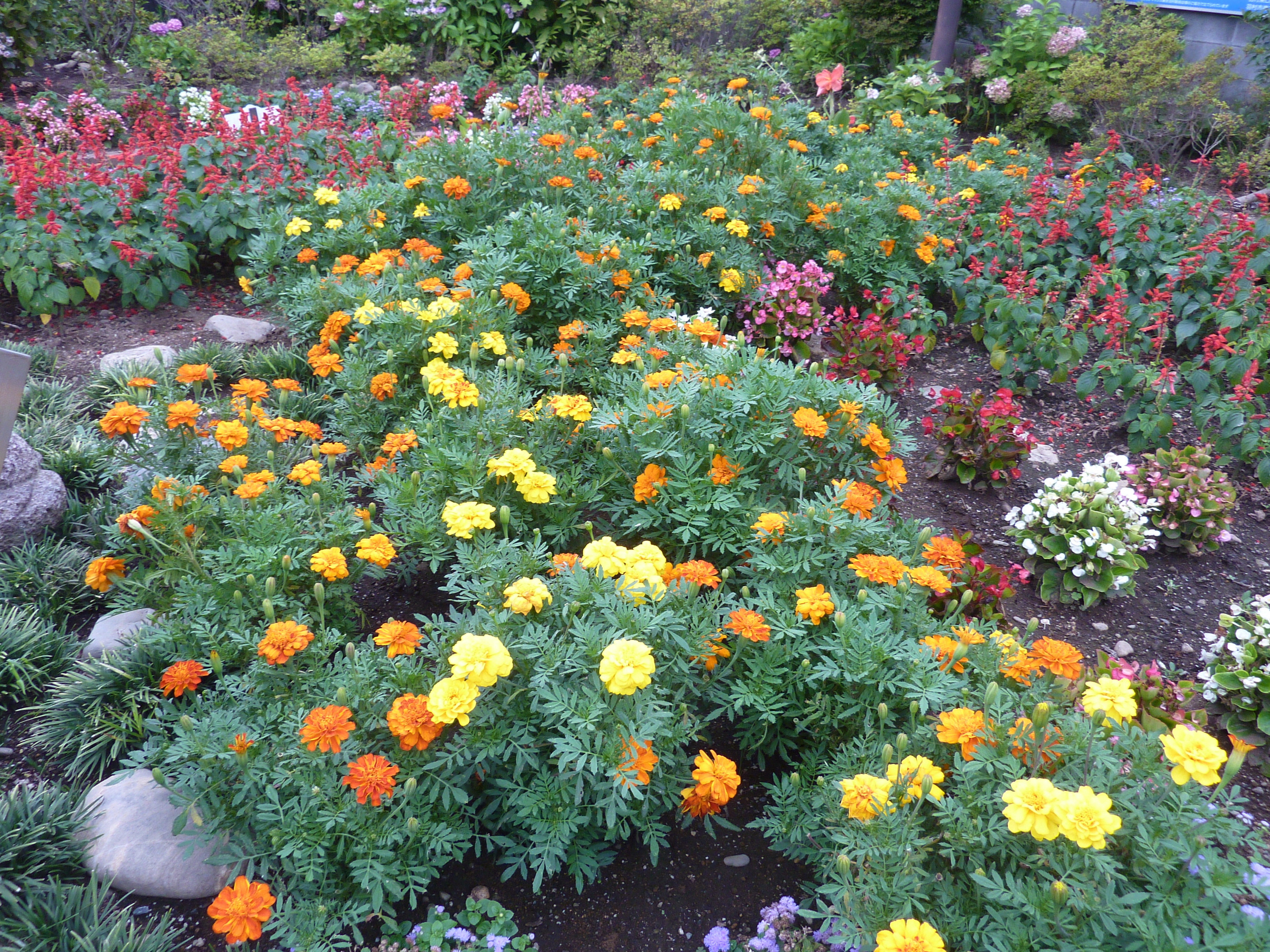 五ノ神中町内会