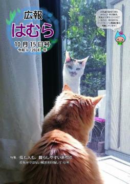 広報はむら10月15日号No.1127表紙（網戸を挟んで向かい合う猫）