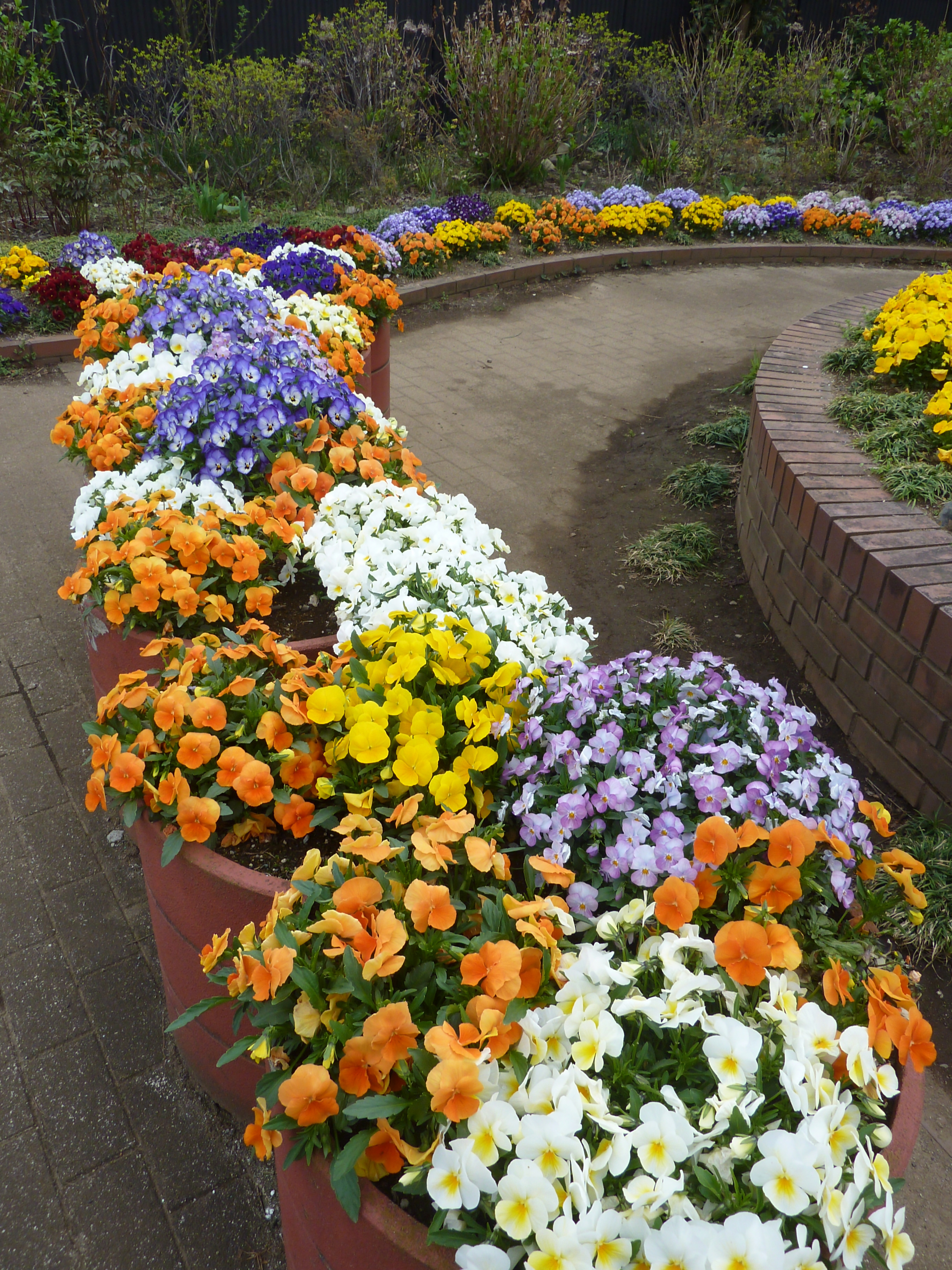 五ノ神中町内会