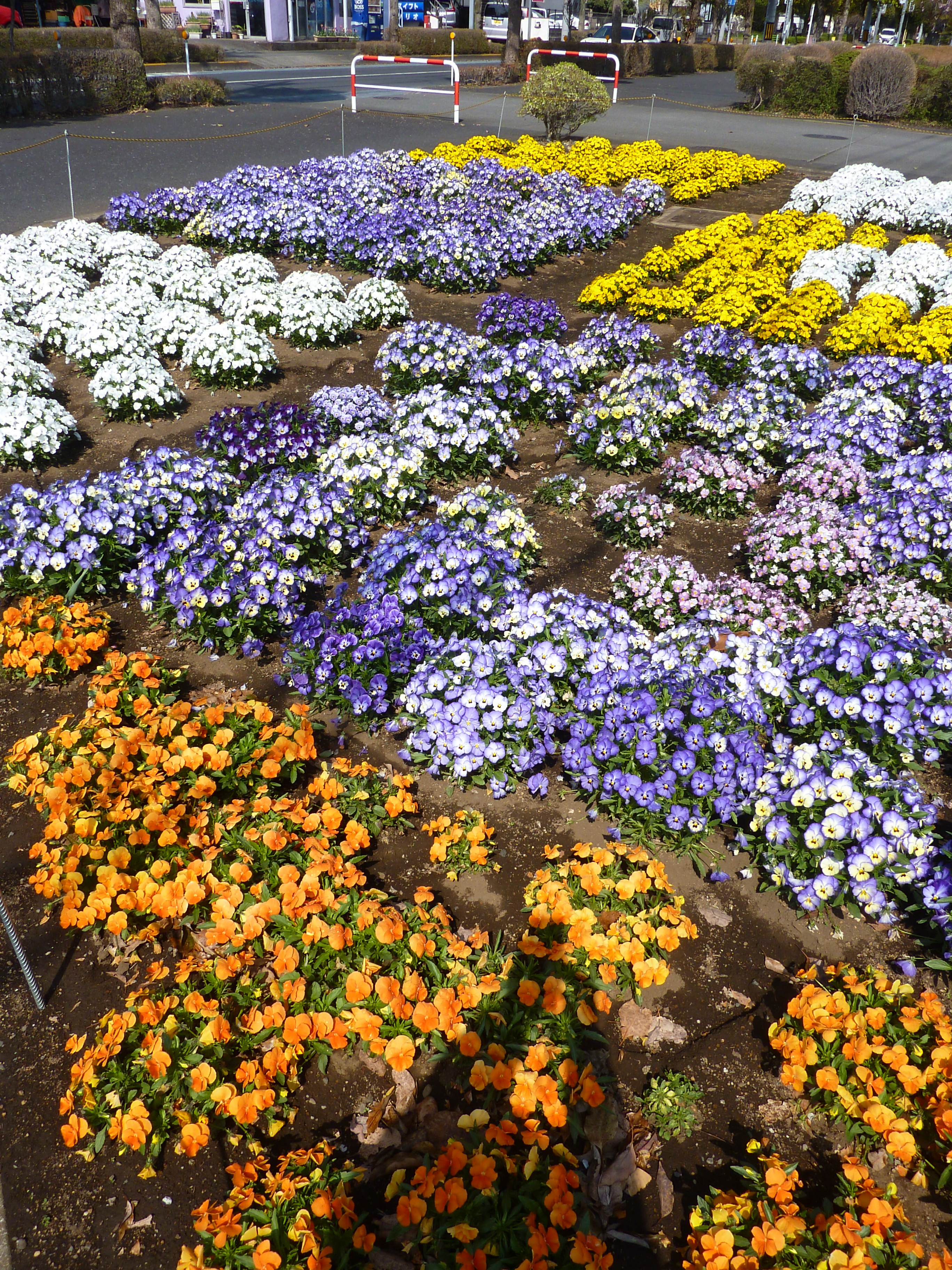 間坂第二町内会