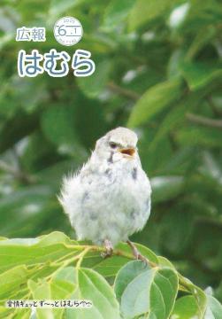 広報はむら6月1日号No.1142表紙(風音に負けじとさえずるウグイス)