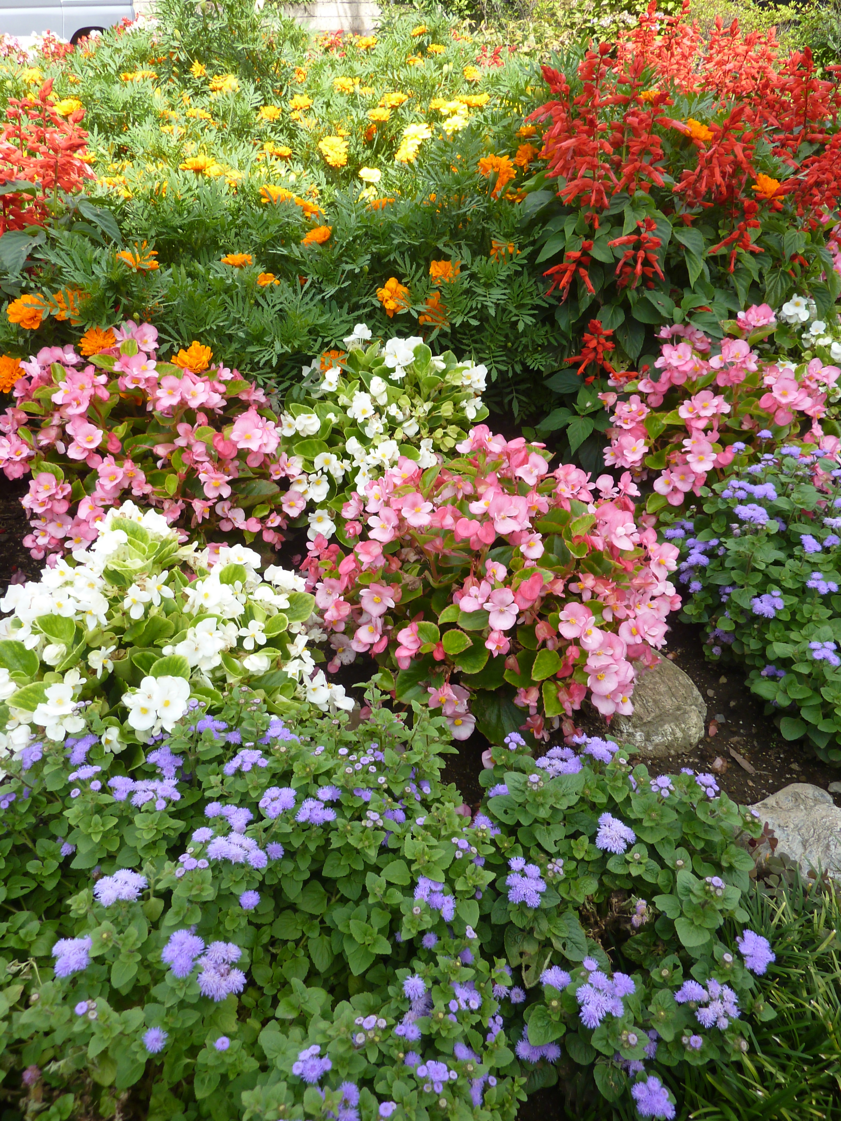 五ノ神中町内会