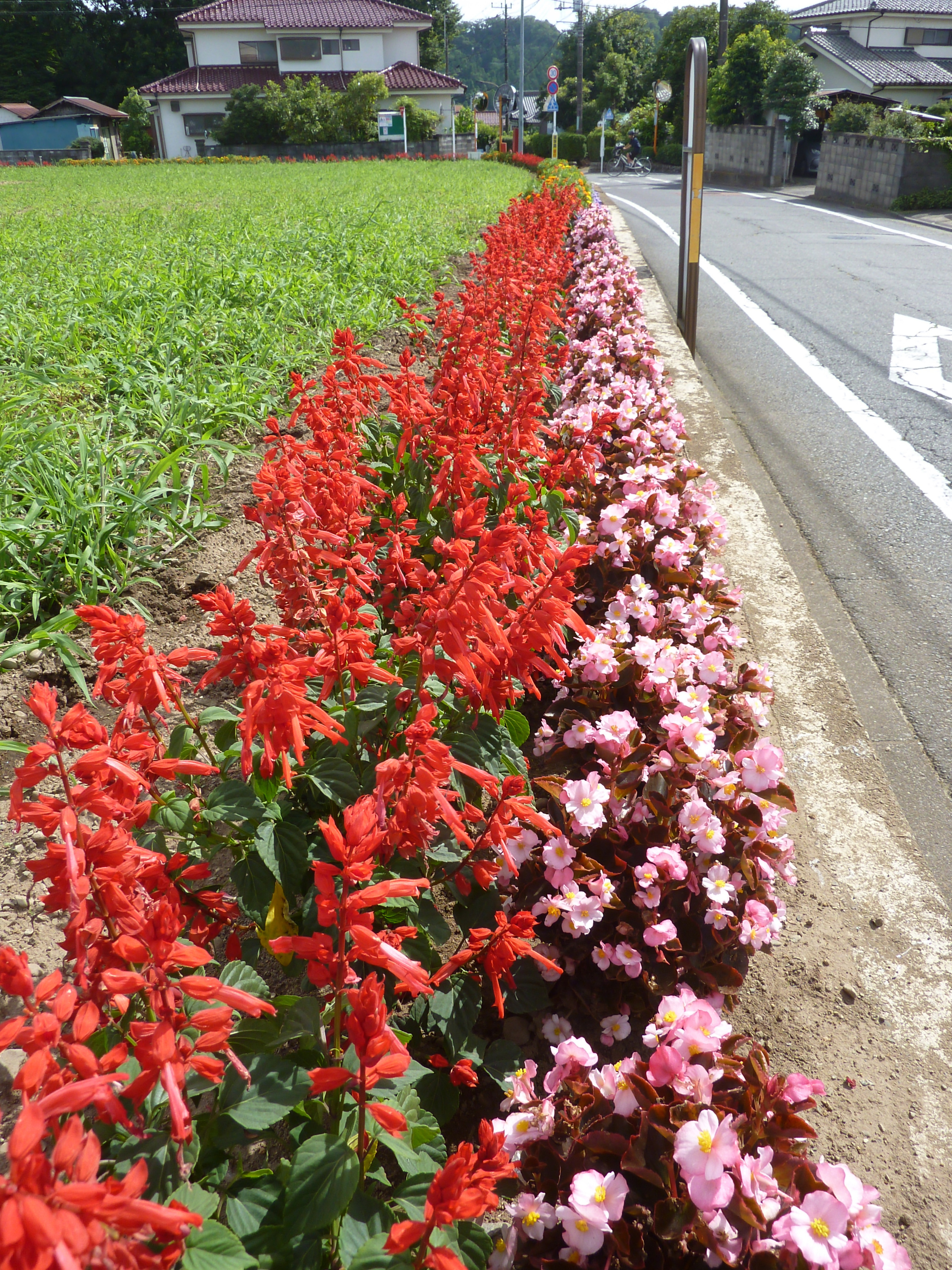 間坂第一町内会