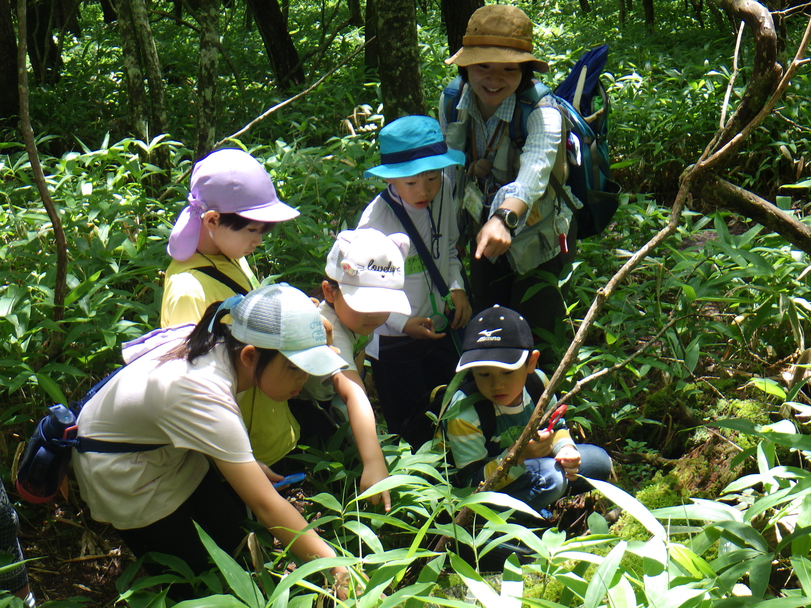 北杜市内の森林散策の様子