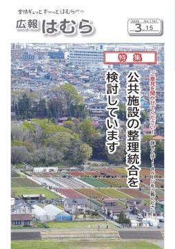 広報はむら3月15日号No.1161表紙（羽村神社からの春の眺め）
