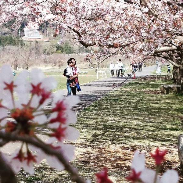 takase1982さんからの投稿