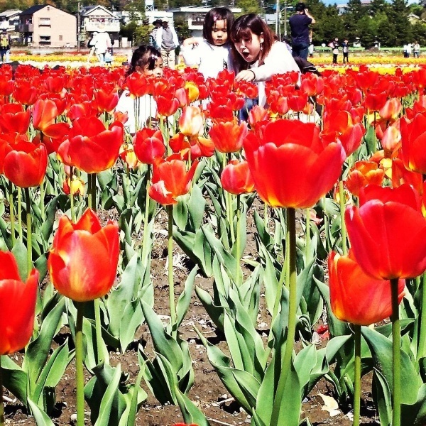 takase1982さんからの投稿