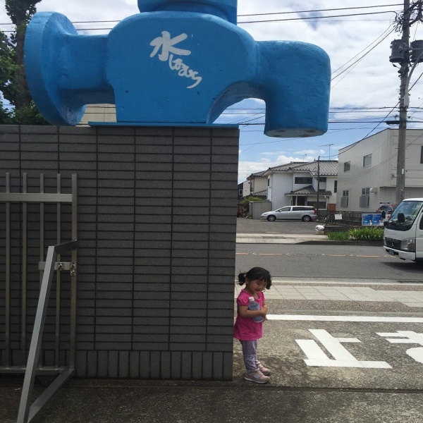 yuzu_kabosu_sudachiさんからの投稿