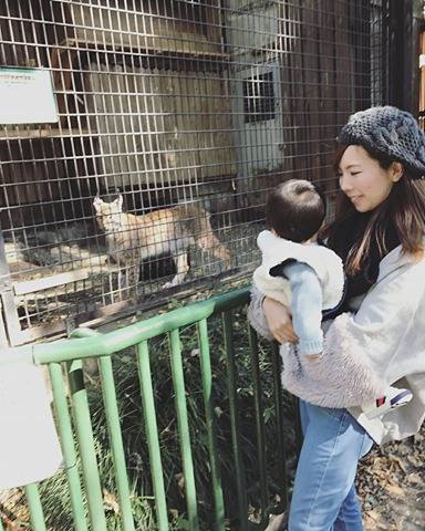 rn17q3さんの投稿