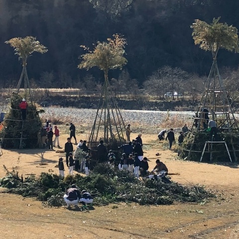 dr.rika_jikken.kunさんの投稿