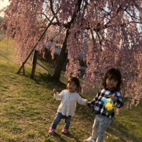 yuzu_kabosu_sudachiさんの投稿