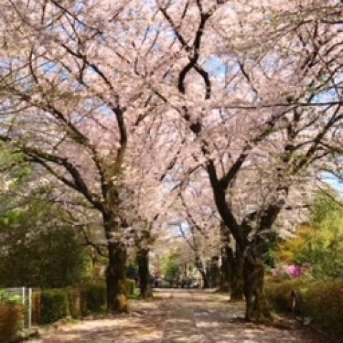 yuuri419girlさんの投稿