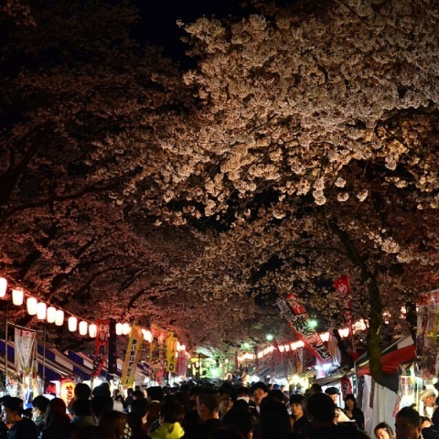 nanako53さんの投稿