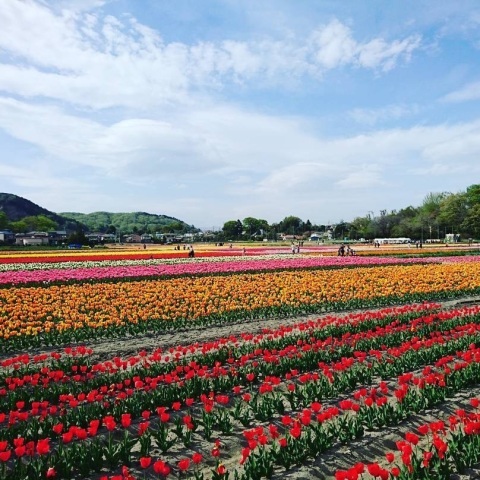 ukazo3114さんの投稿