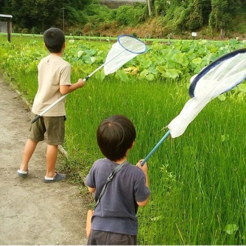 yukipiruさんの投稿