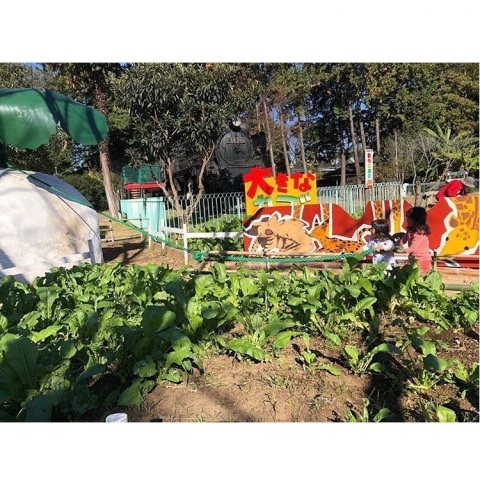 yuzu_kabosu_sudachiさんの投稿