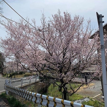 @dr.rika_jikken.kun さんの投稿