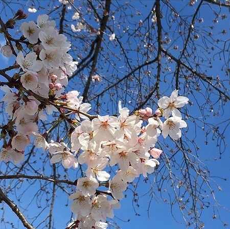 @thewayhomeback さんの投稿