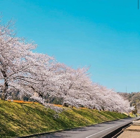 @ken.photo_mint さんの投稿