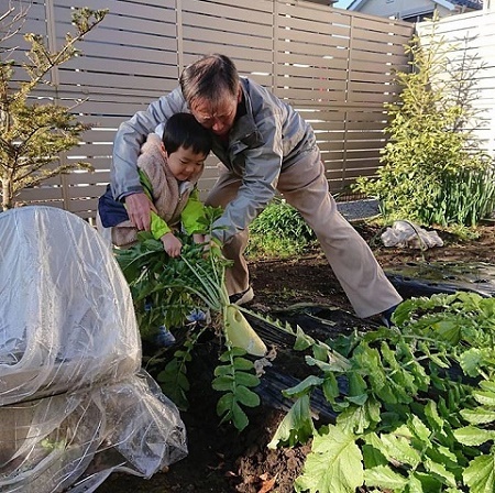 @miechanlovelove さんの投稿