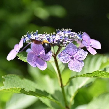 @satoh_kazuo さんの投稿