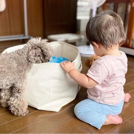 hamura_dog_home さんの投稿