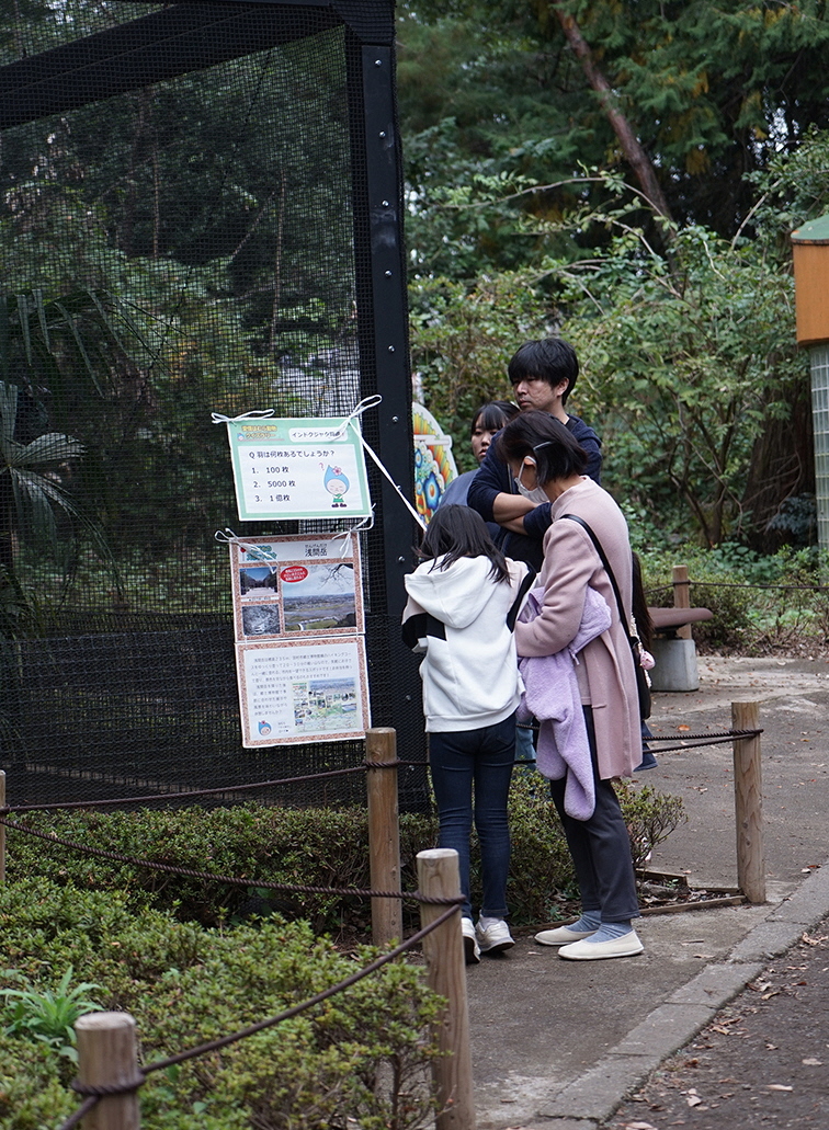 クイズラリーの様子2