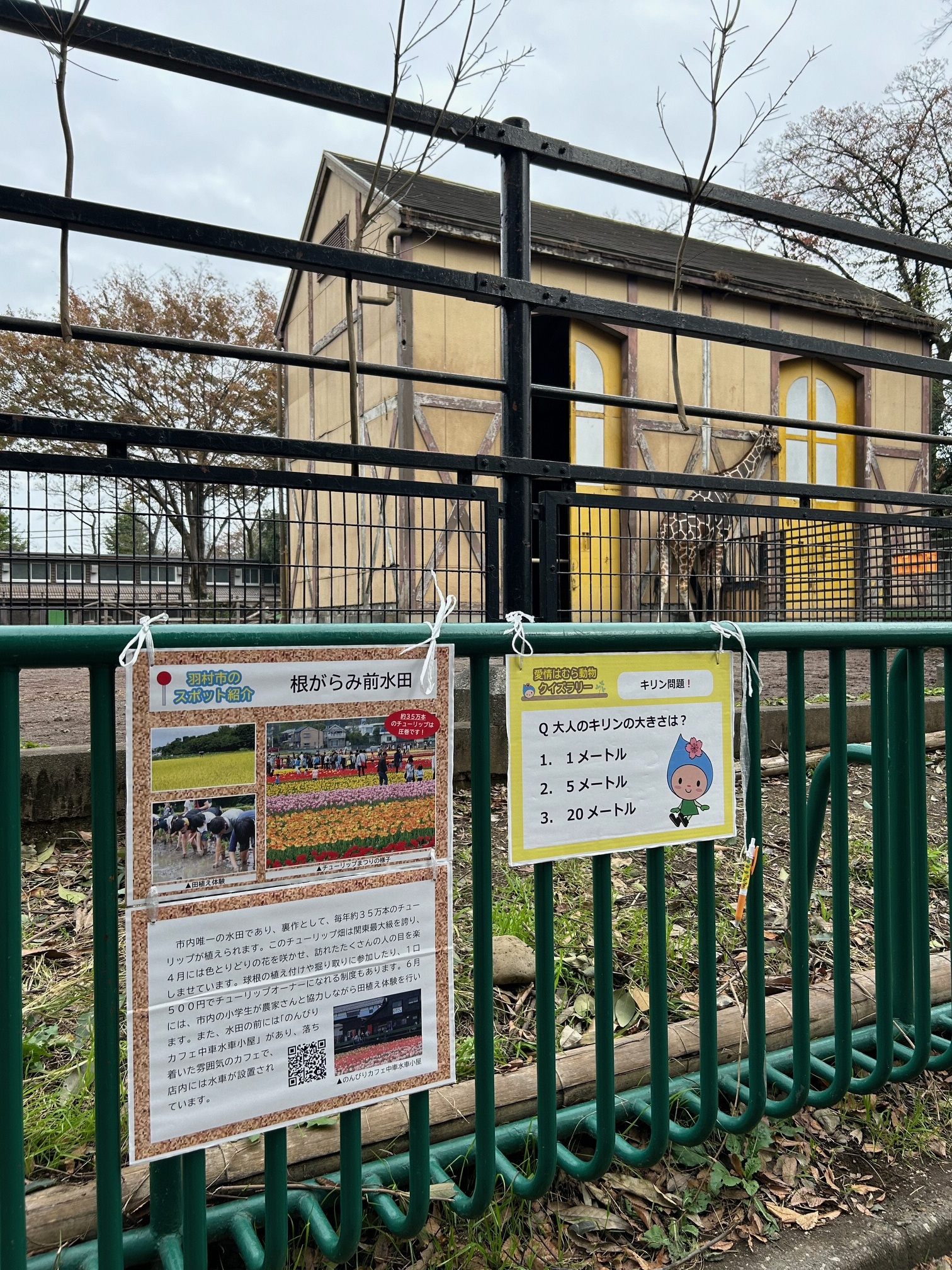 クイズラリーの様子3