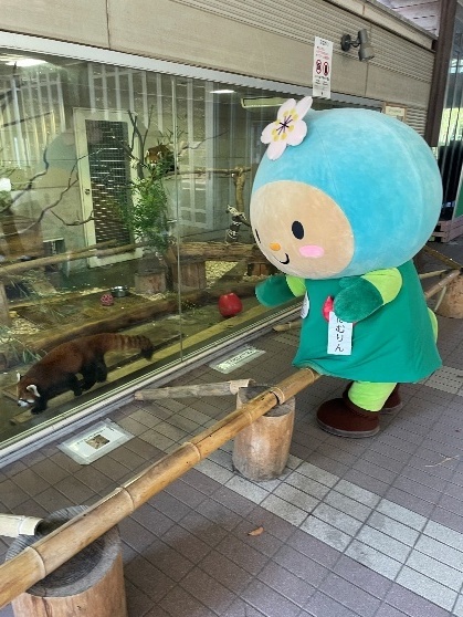 愛情はむらまつり3