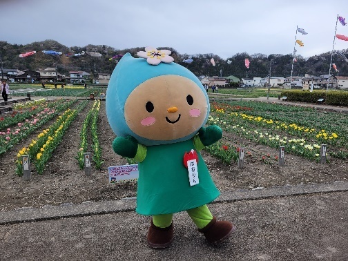 チューリップまつり1