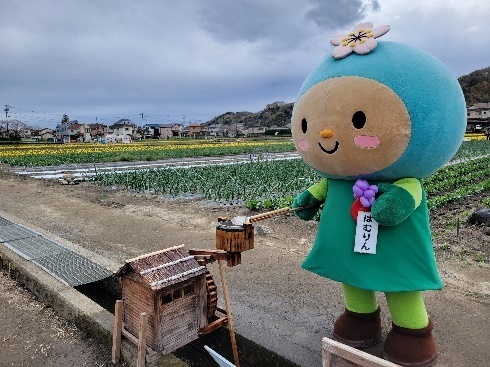 チューリップまつり2